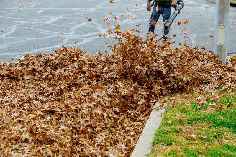 Leaf Collection Equipment