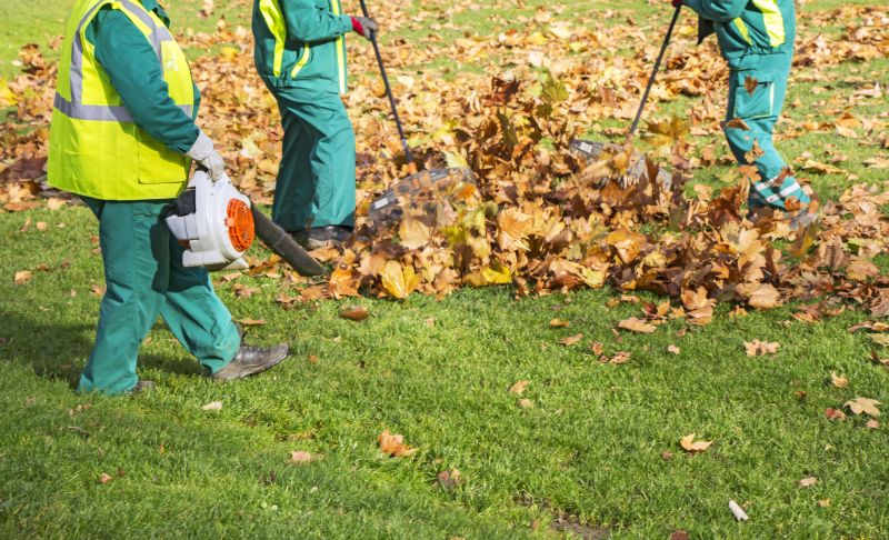 Leaf Pickup
