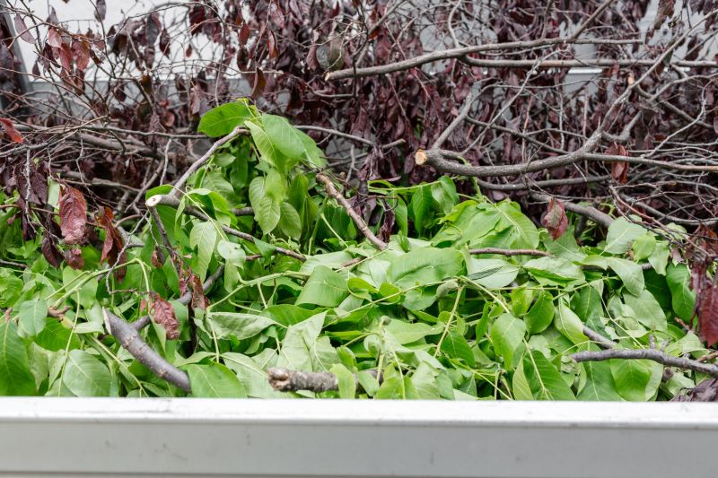 Leaf Pickup