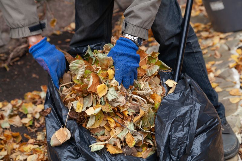 Leaf Pickup