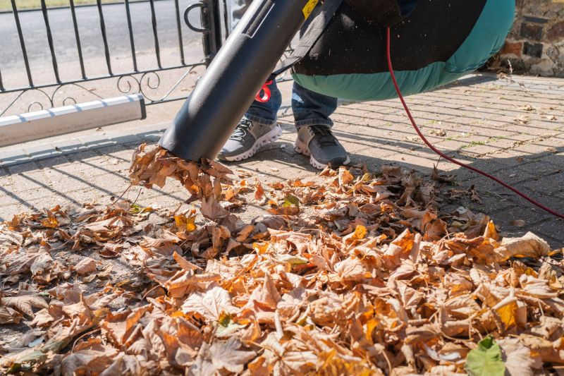 Leaf Blowing